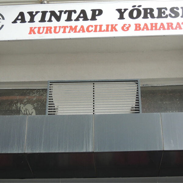 Ayıntap