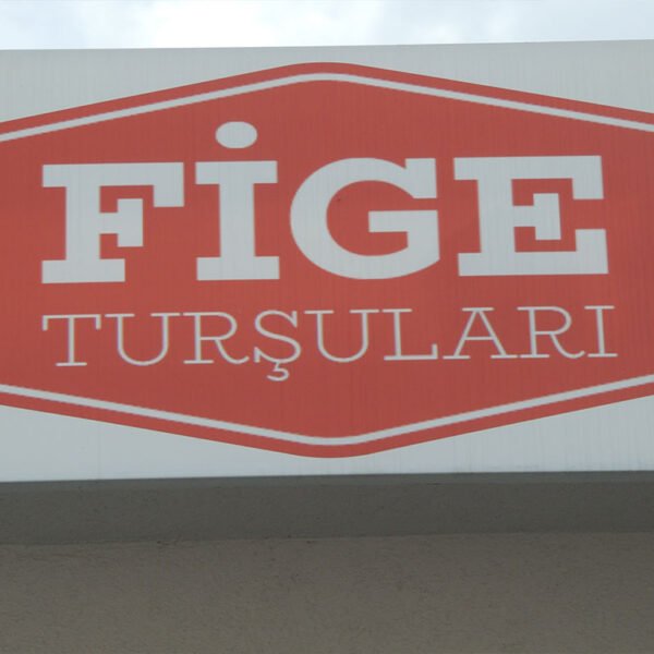 Fige Turşuları