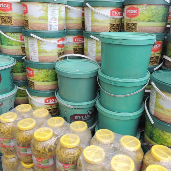 Fige Turşuları
