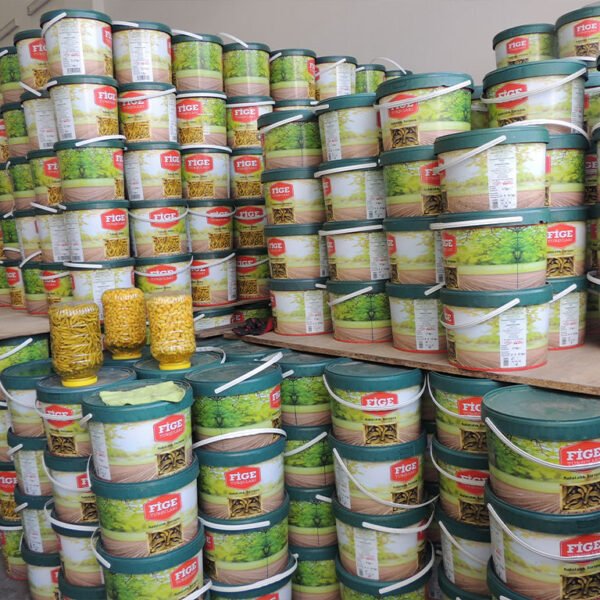 Fige Turşuları