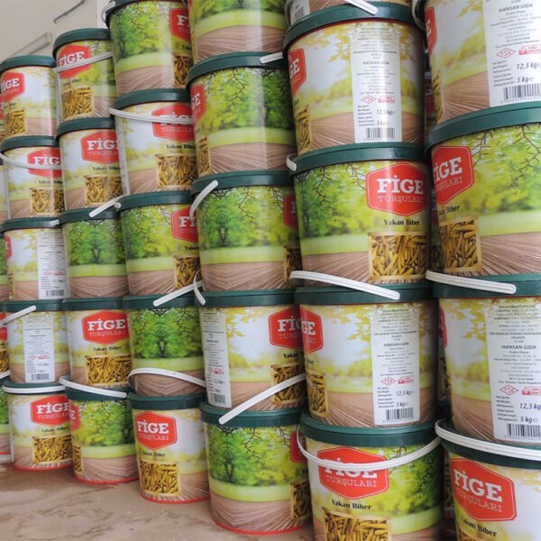 Fige Turşuları