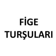 FİGE TURŞULARI