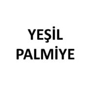 Yeşil Palmiye