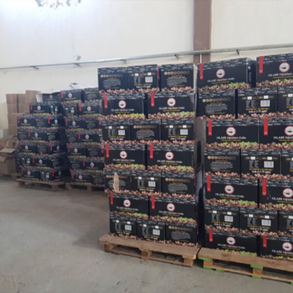 Olabioğulları Gıda