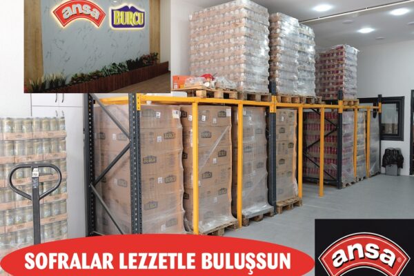 Ansa Gıda